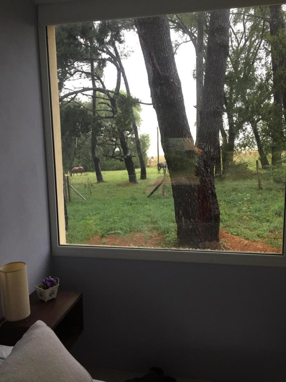 Refugio Zen